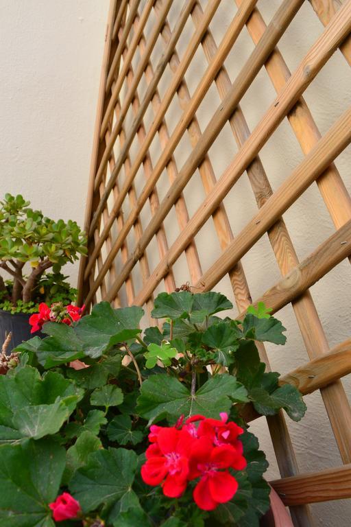 חאניה Anatolia Guest House מראה חיצוני תמונה